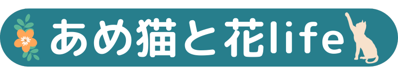 あめ猫と花life