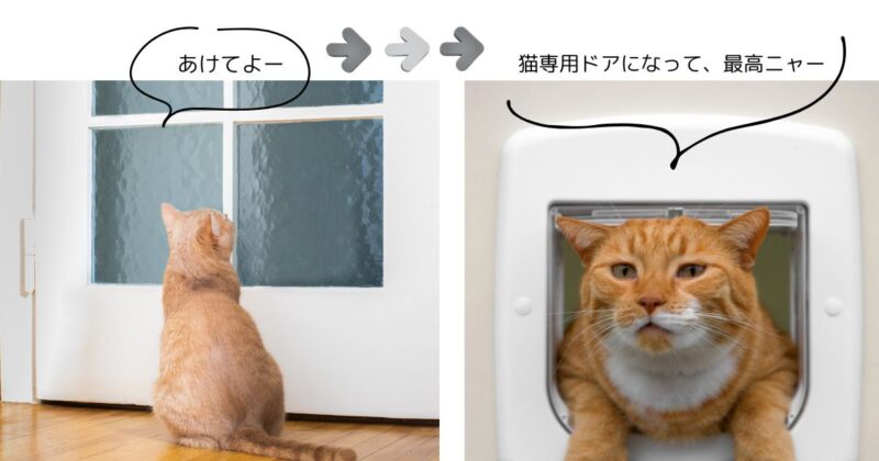 猫専用ドアに変身