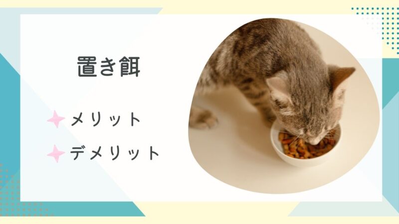 猫が餌を食べている様子